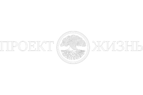 Проект жизнь
